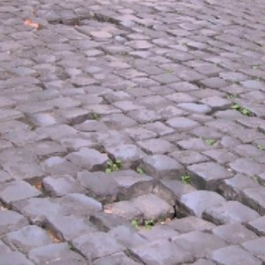 Paves